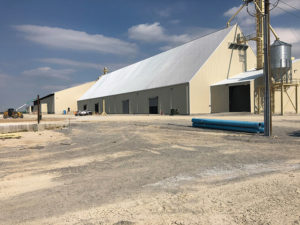Delta Peanut shelling in Jonesboro, Arkansa.